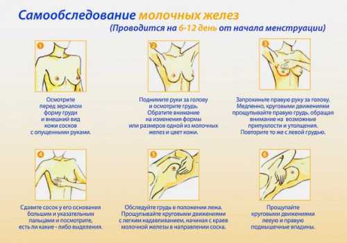 как менялось отношение к сексуальности от средневековья до наших дней